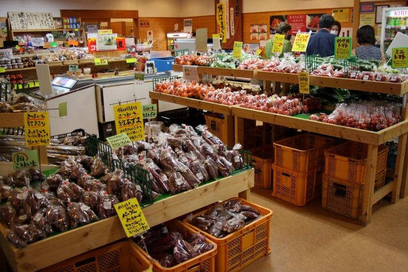 🌊 가시마나다 해변공원(가시마나다 가이힌코엔) 이미지 5